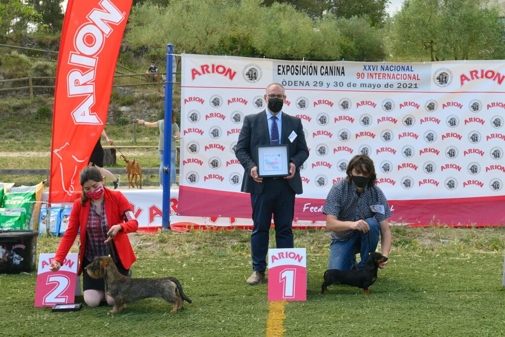 Campeona de grupo IV Lya de Terrademestral